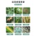 明润丰30%戊唑醇吡唑柑橘砂皮病杀菌剂酯点黄斑炭疽病
