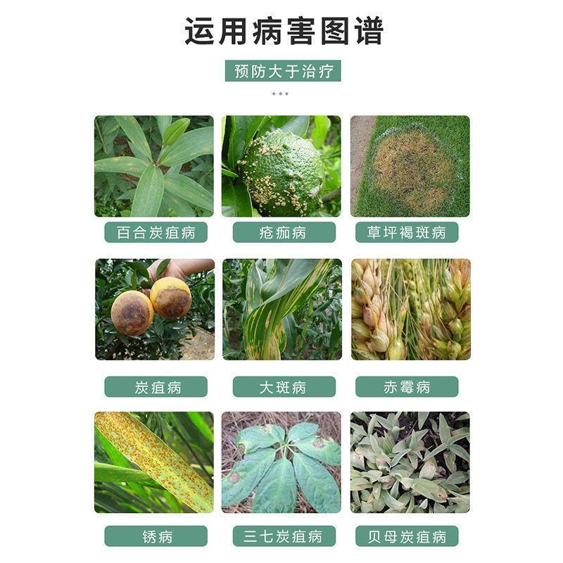 明润丰30%戊唑醇吡唑柑橘砂皮病杀菌剂酯点黄斑炭疽病