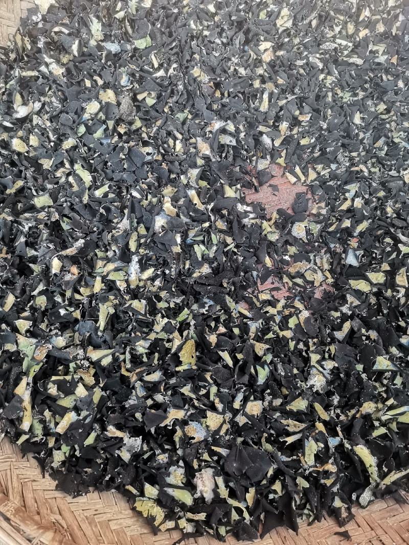 出剪根洗好石耳，岩耳