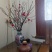 桃花枝