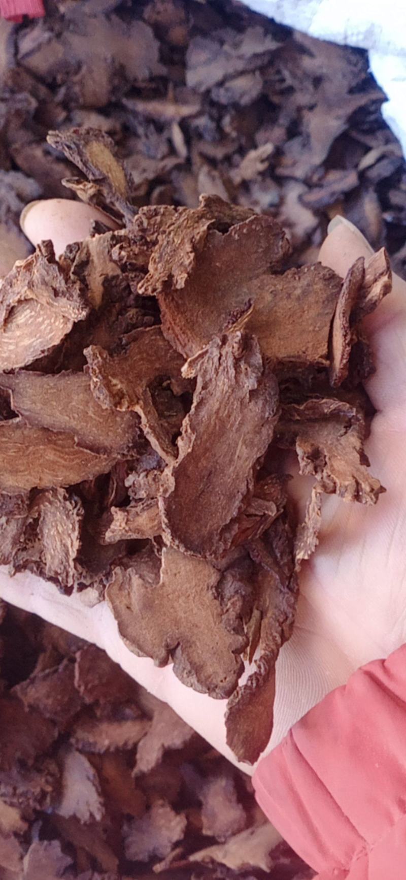 【锁阳】选装过10号筛.大货供应.中药材批发.质量保证