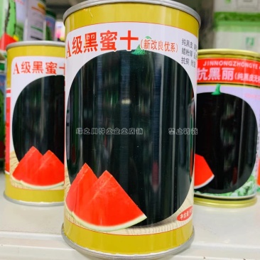 黑蜜十无籽西瓜种子纯黑皮大红瓤黑无籽西瓜种籽蜡粉厚
