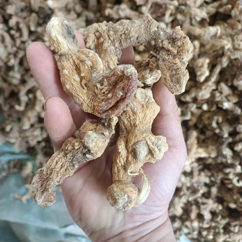 黄精干货
