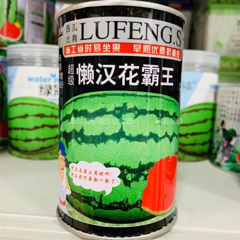 高抗重茬西瓜种子早熟免修枝懒汉花霸王西瓜种籽懒汉西瓜种子