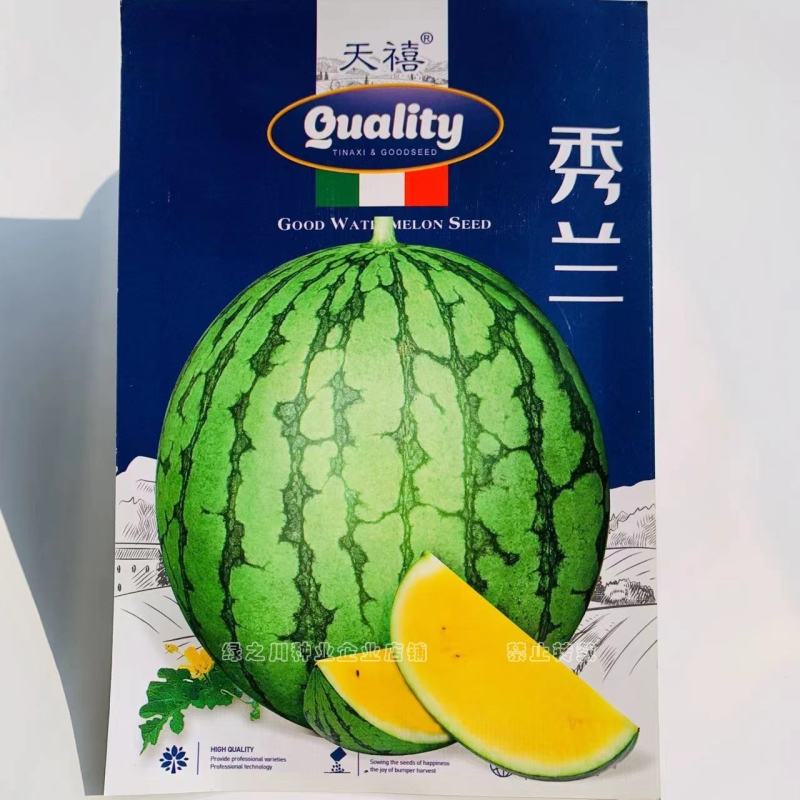 天禧秀兰早熟黄瓤小型西瓜种子耐低温酥脆爽口入口即化