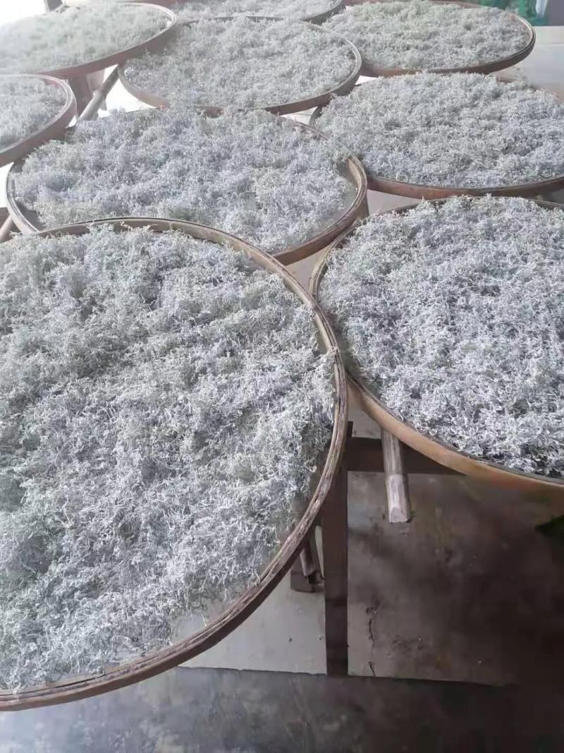 湖南永顺霉茶发原地，一手货源，保质保量，产地直发