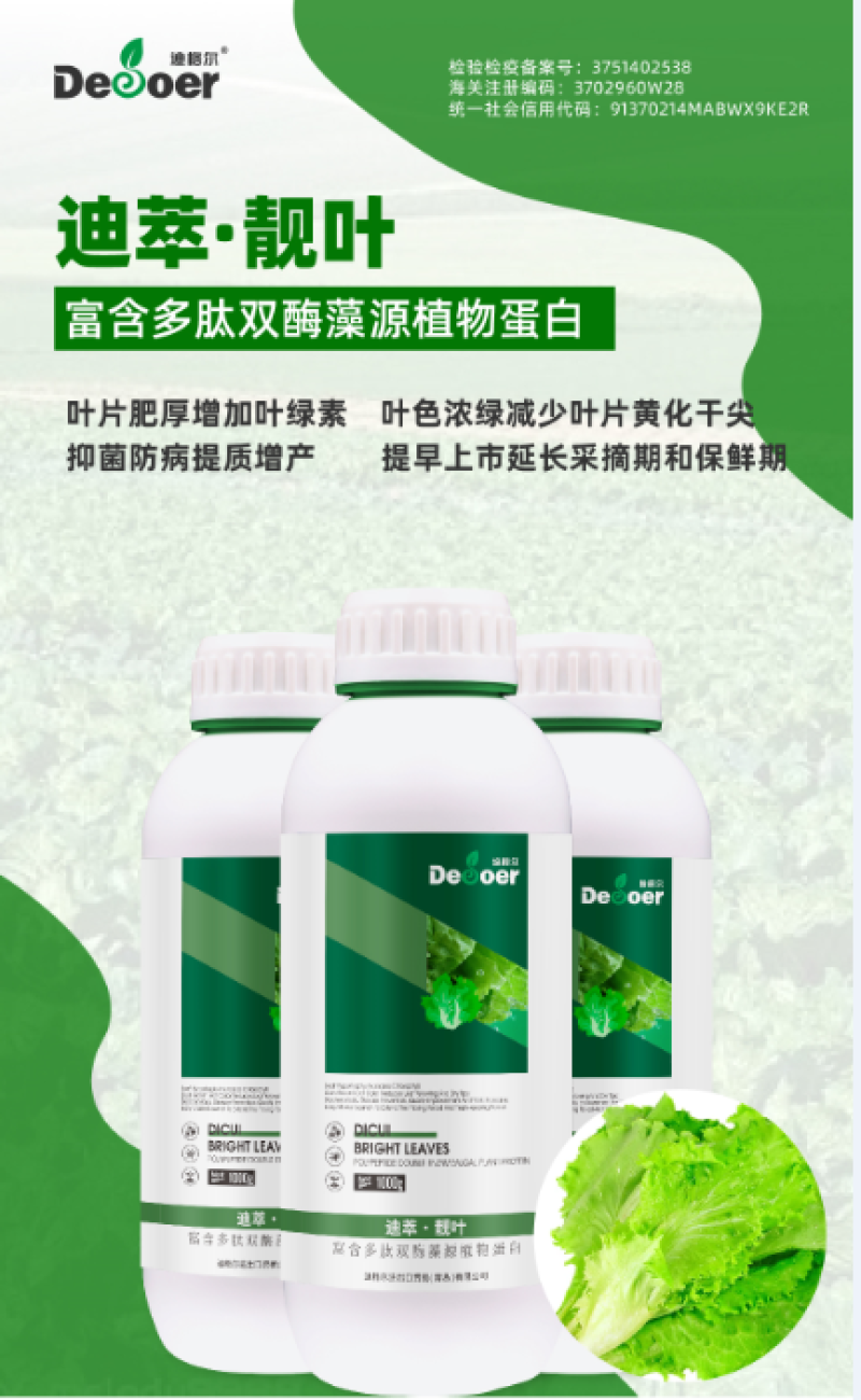 迪萃-靓叶叶片肥厚有光泽防止干尖黄叶叶面喷施厂家