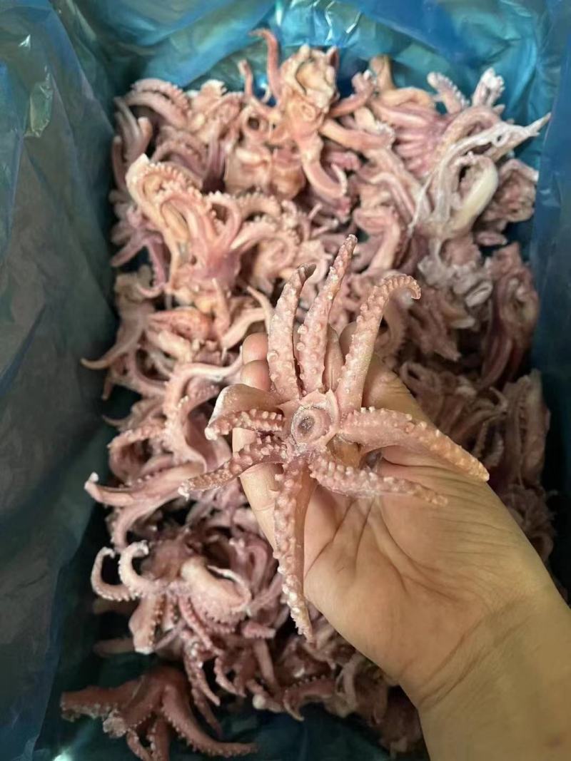 脆口小八爪