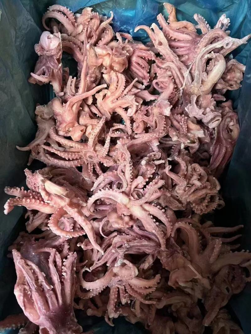 脆口小八爪