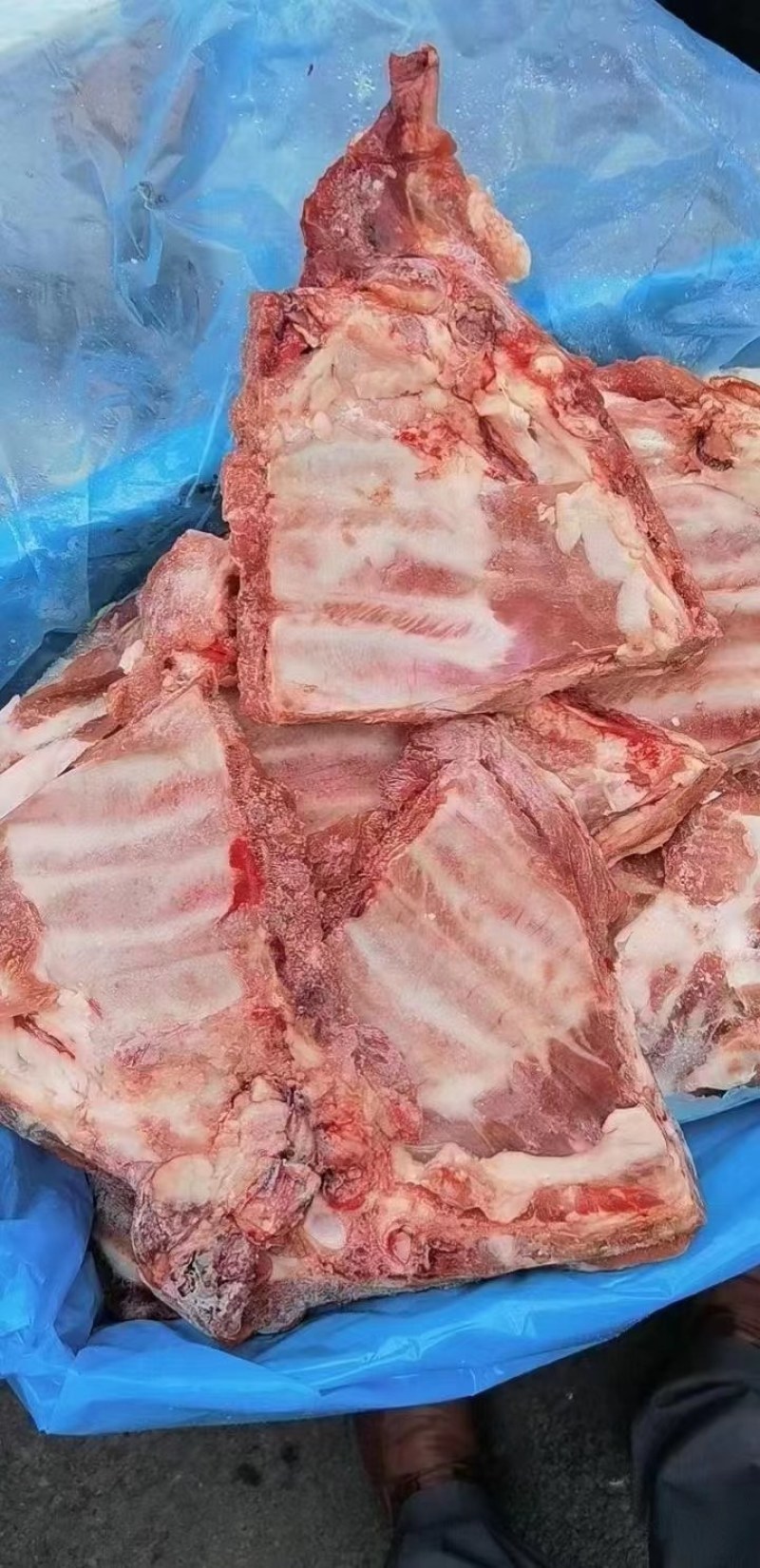 多肉排骨小排一件20斤现货批发肉多实惠冷冻