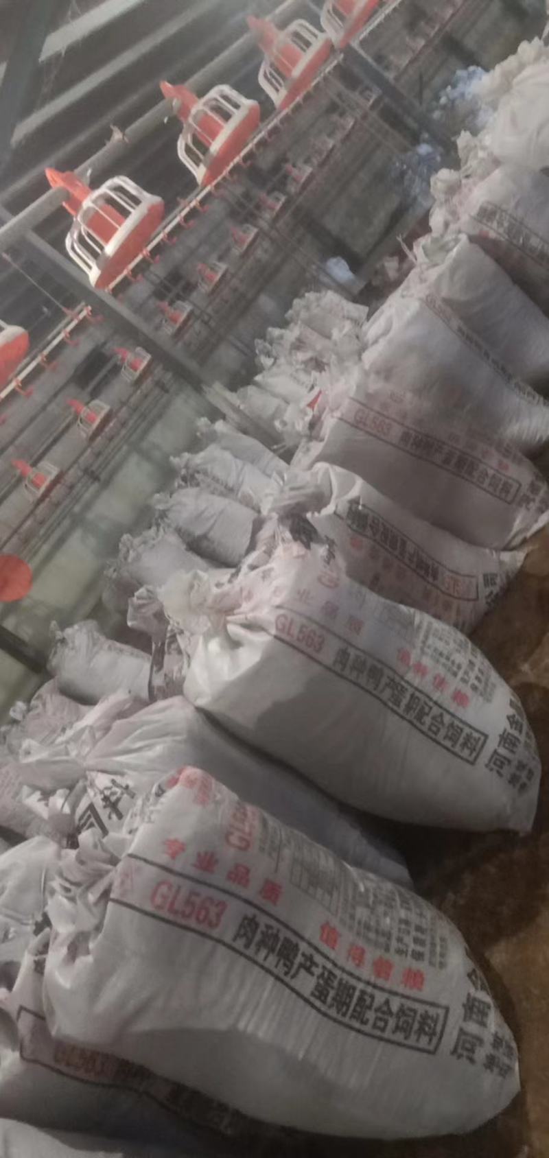 稻壳鸡粪有机肥发酵纯鸡粪/鸡粪/有机肥/自由工厂批发价