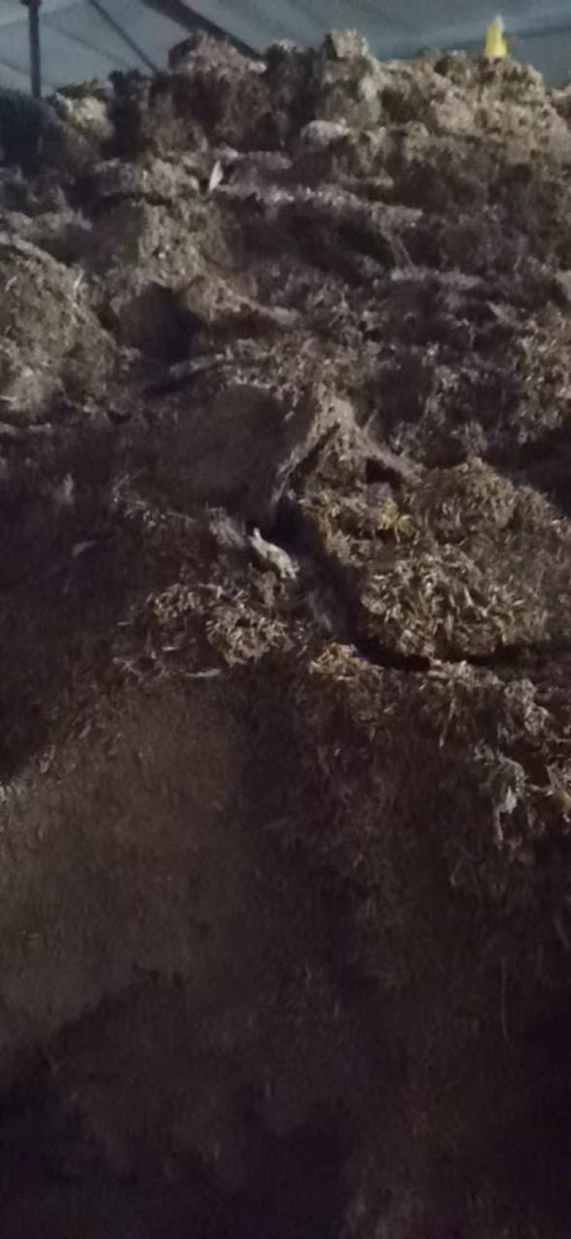 鸡粪有机肥发酵纯鸡粪/鸡粪/有机肥/自由工厂批发价