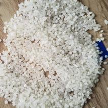 绥化碎大米