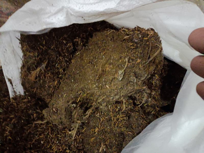 鸡粪有机肥发酵纯鸡粪/鸡粪/有机肥/自由工厂批发价