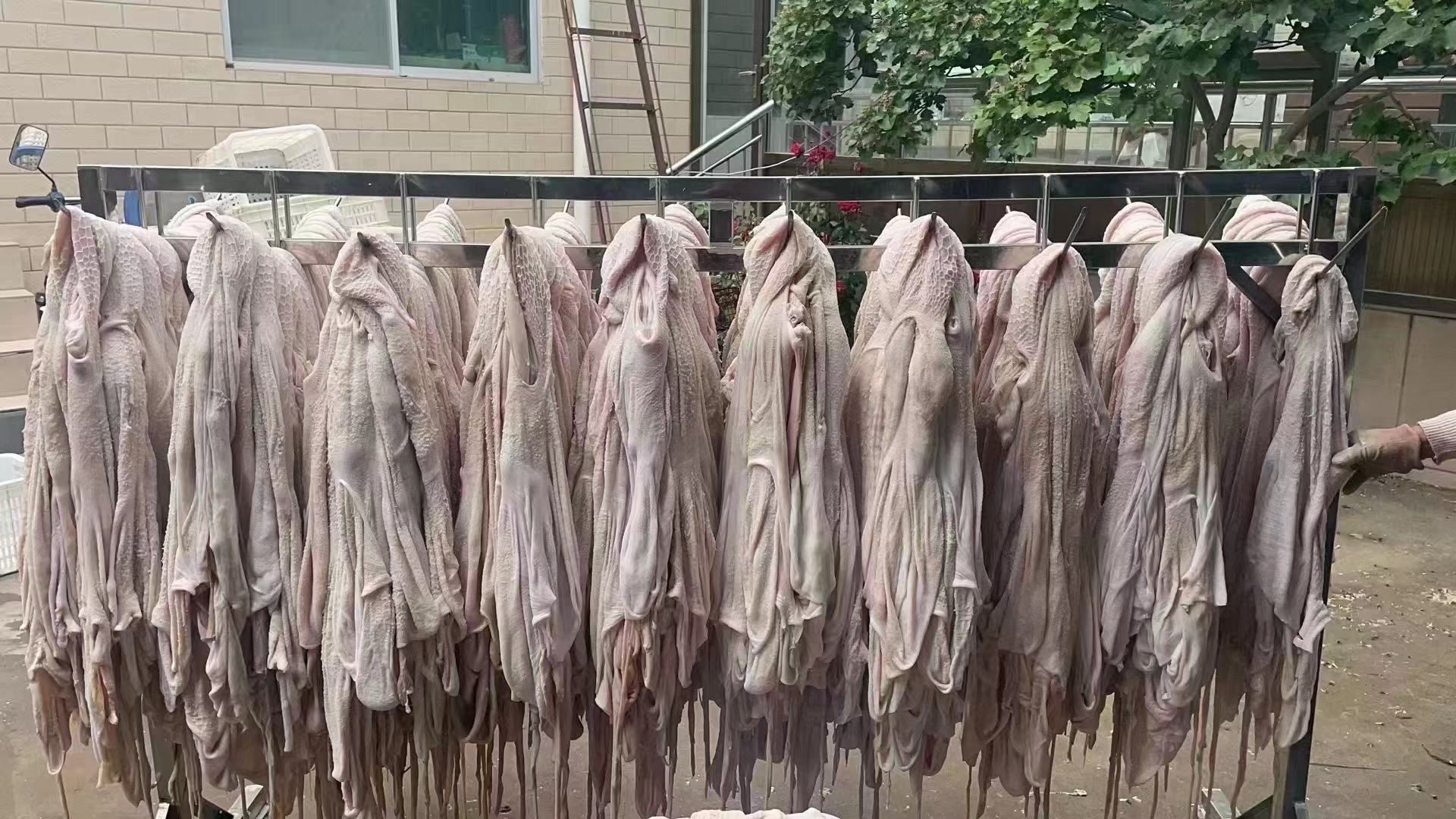 浙江白条羊屠宰加工车间实景