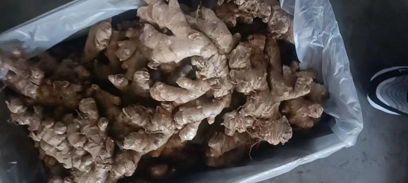 展示将生姜切片并放入密封袋冷冻的过程 冷藏生姜的步骤