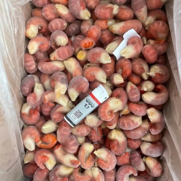 虾尾全规格批发价