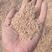 玉米毛糠，厂家发货，对接大型批发商，欢迎来电咨询