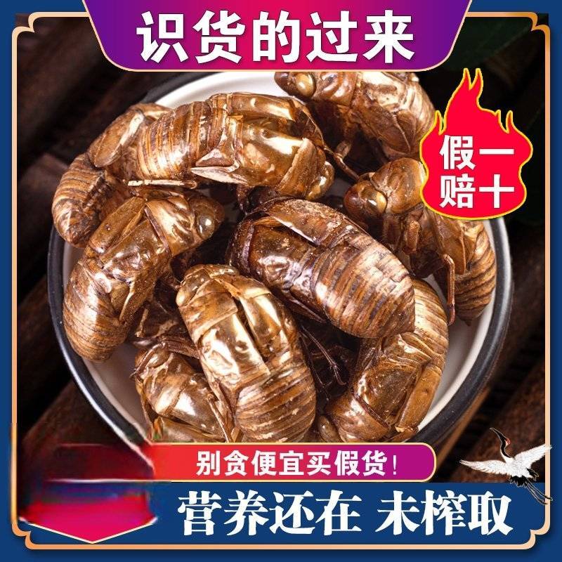 中药材蝉蜕知了皮500g蝉衣蝉壳虫包邮蜕虫退爬了猴壳金蝉