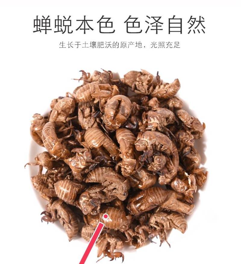 中药材蝉蜕知了皮500g蝉衣蝉壳虫包邮蜕虫退爬了猴壳金蝉