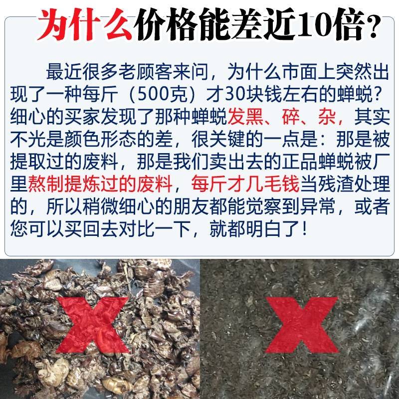 中药材蝉蜕知了皮500g蝉衣蝉壳虫包邮蜕虫退爬了猴壳金蝉