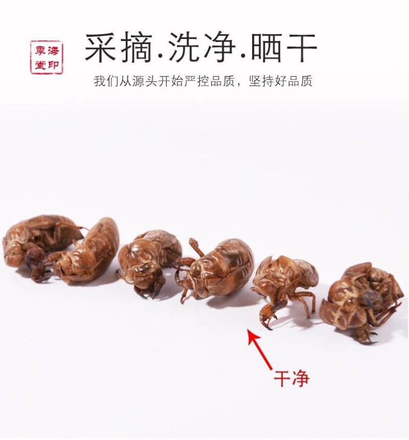 中药材蝉蜕知了皮500g蝉衣蝉壳虫包邮蜕虫退爬了猴壳金蝉