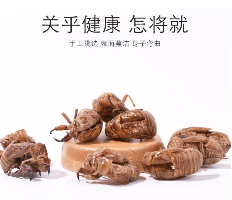 中药材蝉蜕知了皮500g蝉衣蝉壳虫包邮蜕虫退爬了猴壳金蝉