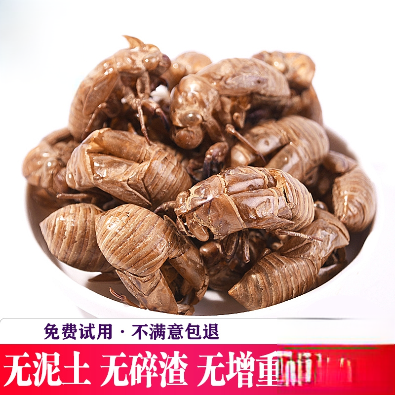 中药材蝉蜕知了皮500g蝉衣蝉壳虫包邮蜕虫退爬了猴壳金蝉