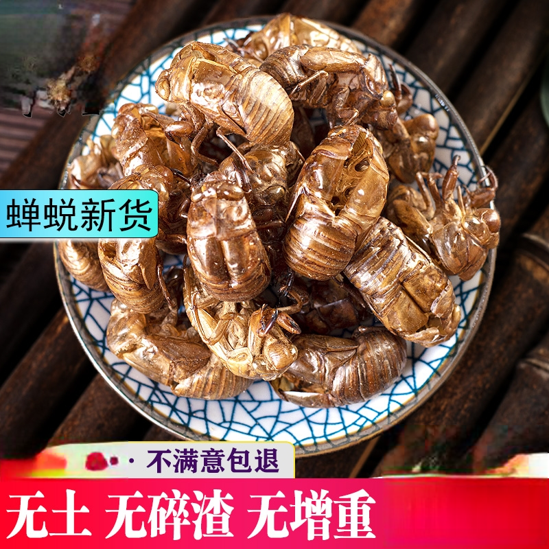 中药材蝉蜕知了皮500g蝉衣蝉壳虫包邮蜕虫退爬了猴壳金蝉