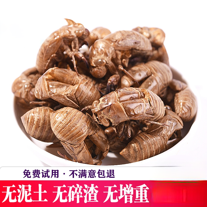 中药材蝉蜕知了皮500g蝉衣蝉壳虫包邮蜕虫退爬了猴壳金蝉