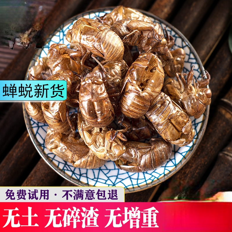 中药材蝉蜕知了皮500g蝉衣蝉壳虫包邮蜕虫退爬了猴壳金蝉
