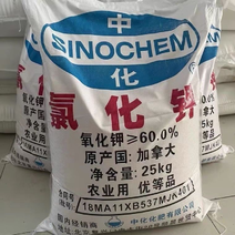 红色颗粒农用大颗粒氯化钾进口品质25公斤小麦玉米底肥