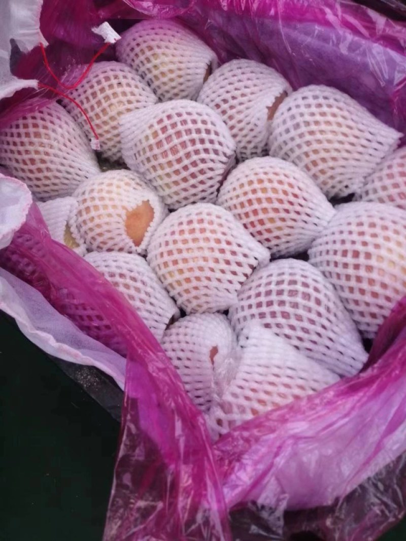 单膜红富士苹果，优选大果，个大色鲜，汁多爆甜，欢迎咨询