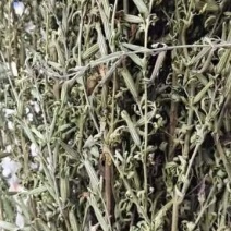 刘寄奴，北刘寄奴全棵十吨，饮片3吨，质量保证。包邮！！！