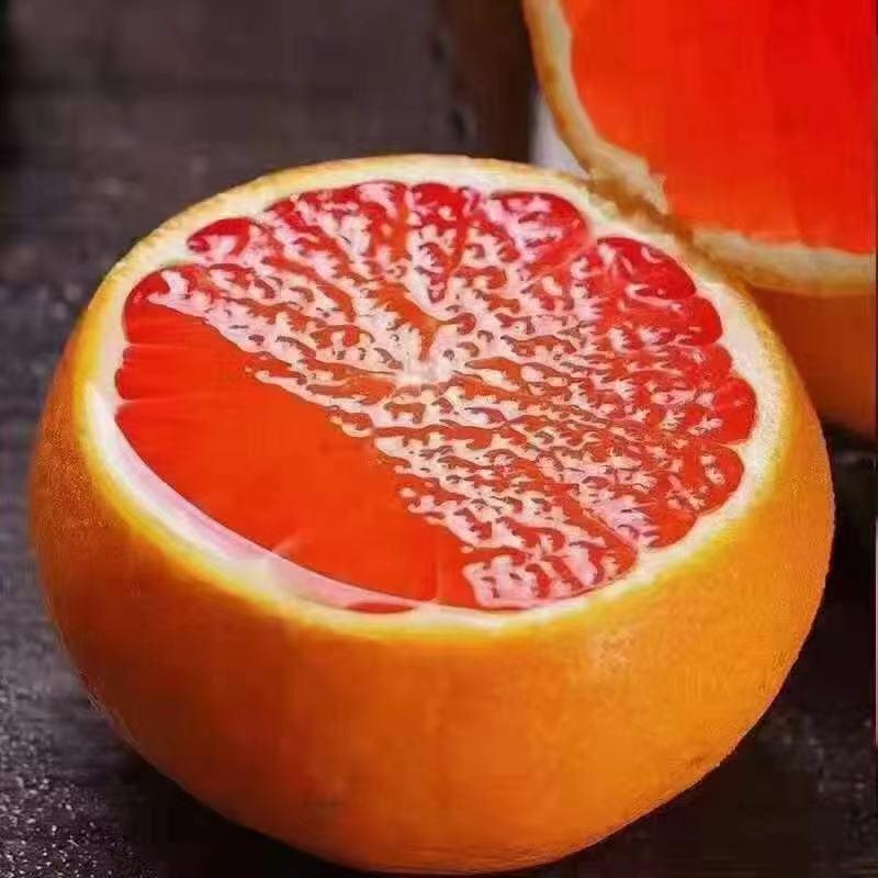中华红血橙秭归血橙产地一手货源纯甜化渣实力供货