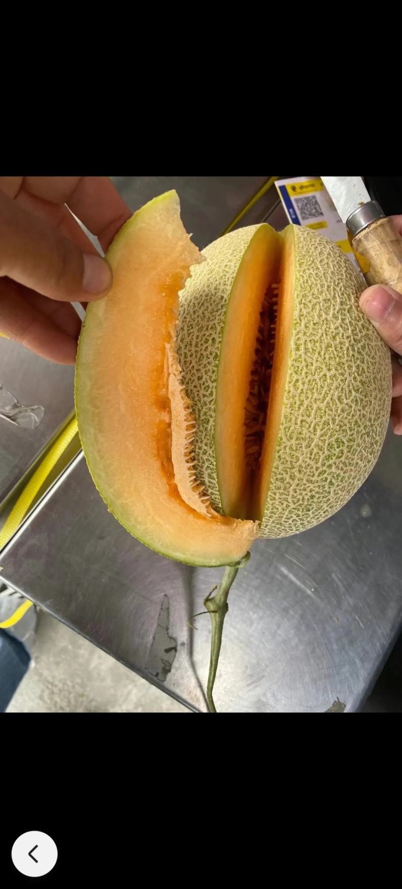 哈密瓜