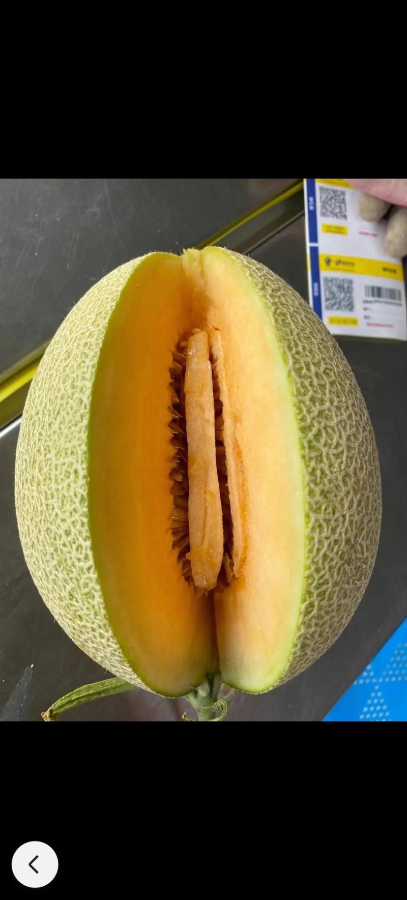 哈密瓜