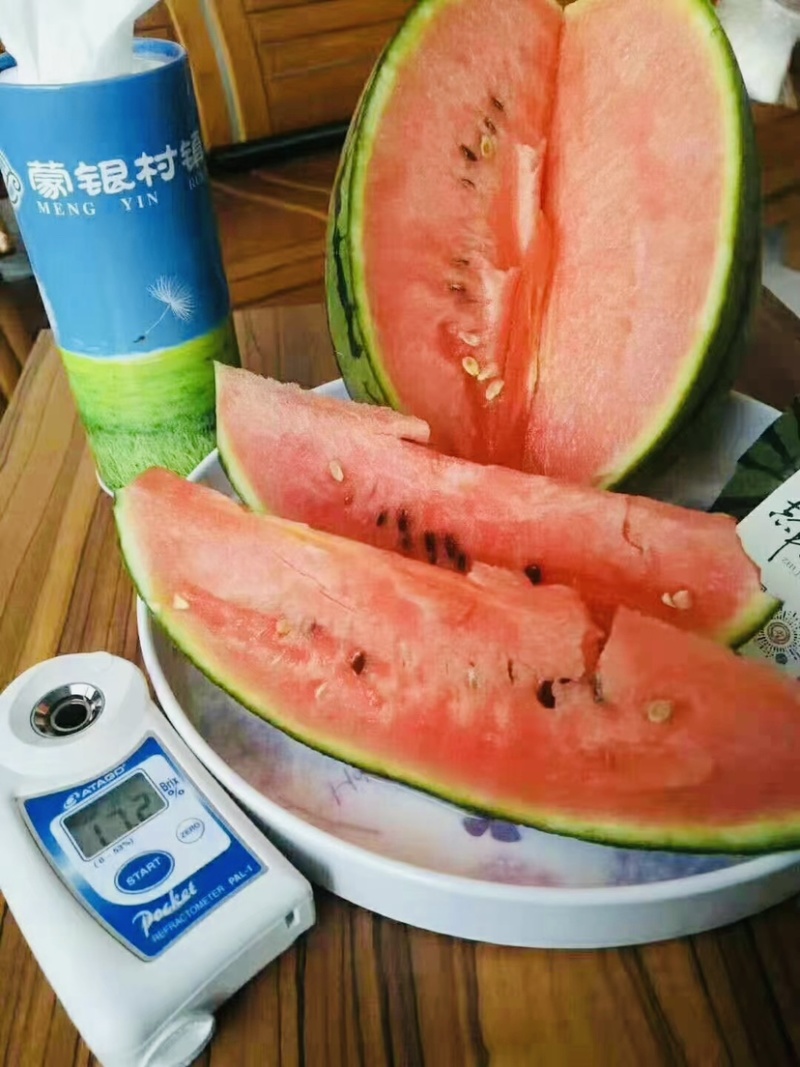 全美2K小吊瓜地爬瓜保质保量诚信经营