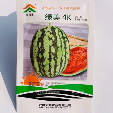绿美4k西瓜种籽超甜短椭圆形硬薄皮礼品小西瓜种子瓤红