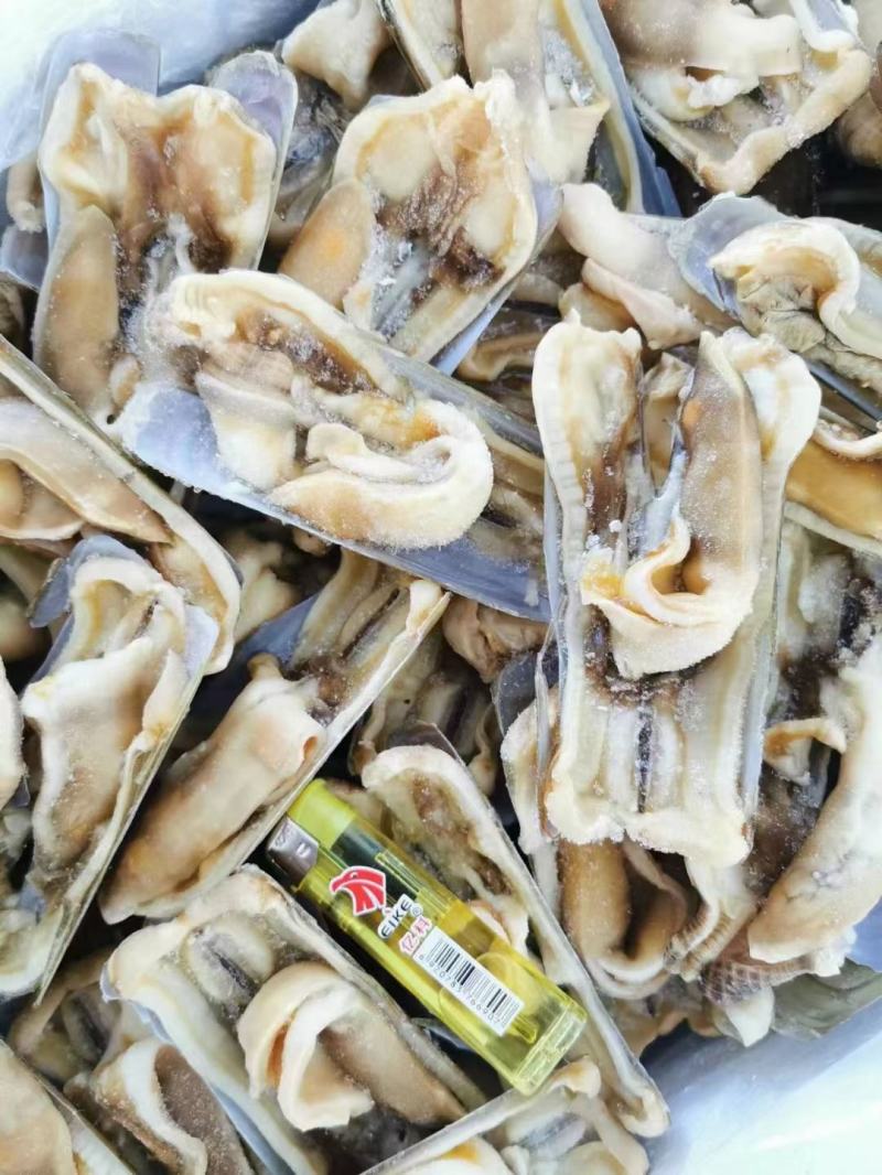 开口蛏子，无沙个头大，肉质饱满鲜美，常年有货，欢迎咨询。