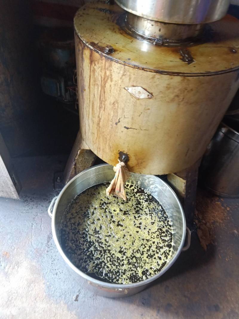 油菜籽现炸菜籽油