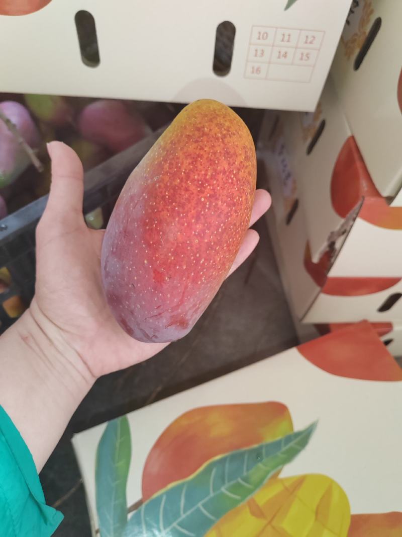 树上熟贵妃精品货