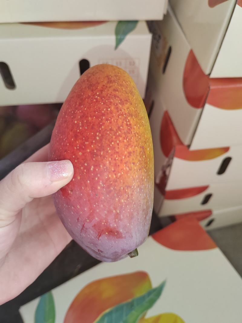 树上熟贵妃精品货