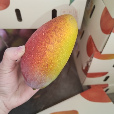 树上熟贵妃精品货