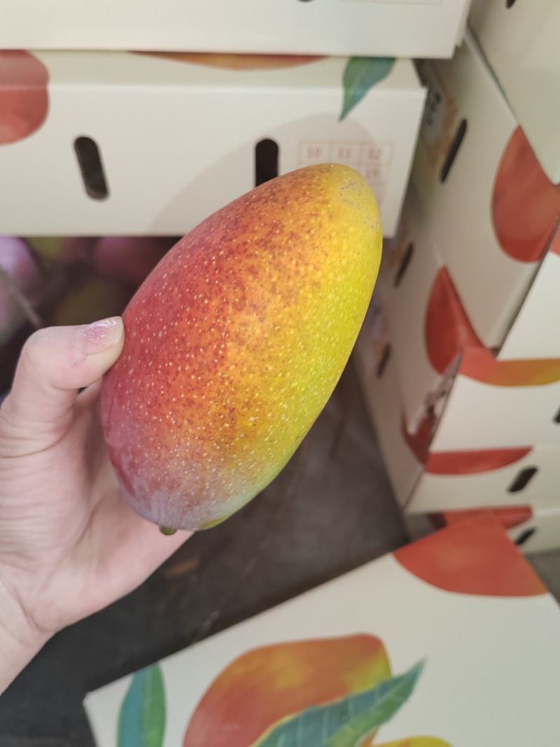 树上熟贵妃精品货