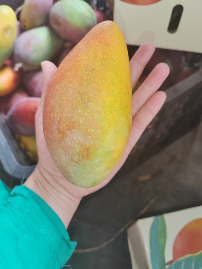 树上熟贵妃精品货