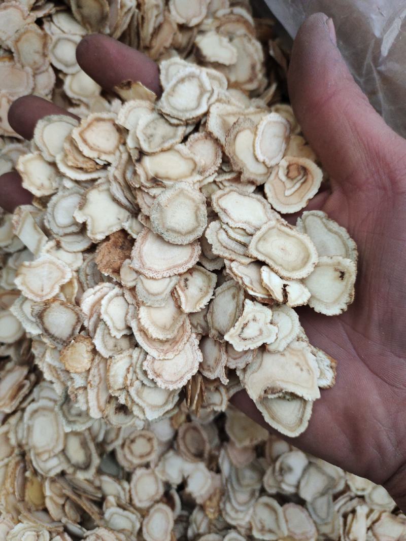 西洋参花旗参次片二级片大量现货批发一手货源产地直发价格低