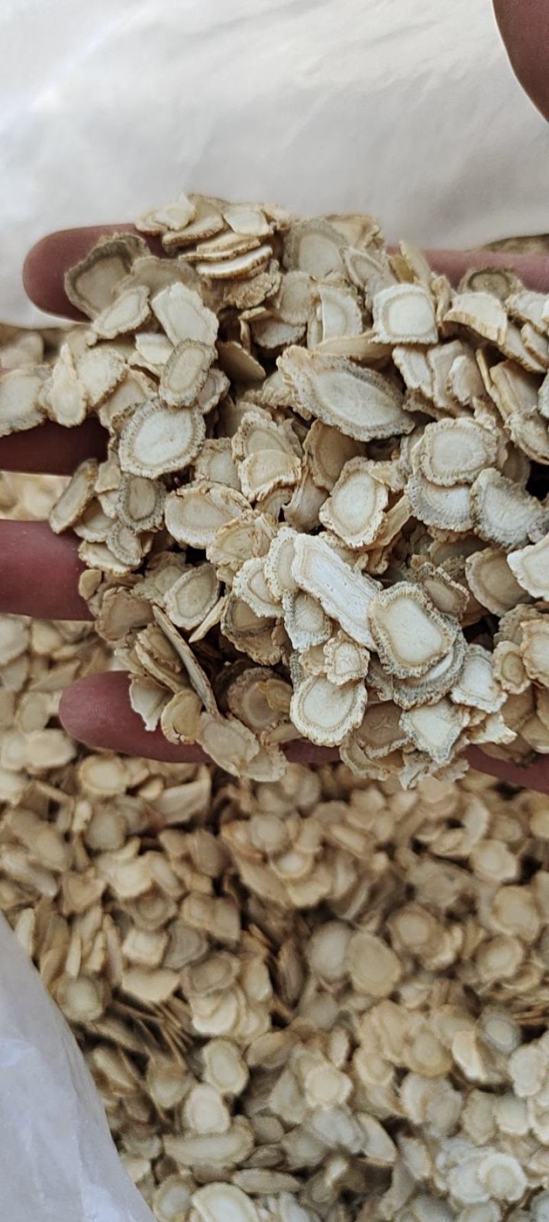 西洋参花旗参次片二级片大量现货批发一手货源产地直发价格低