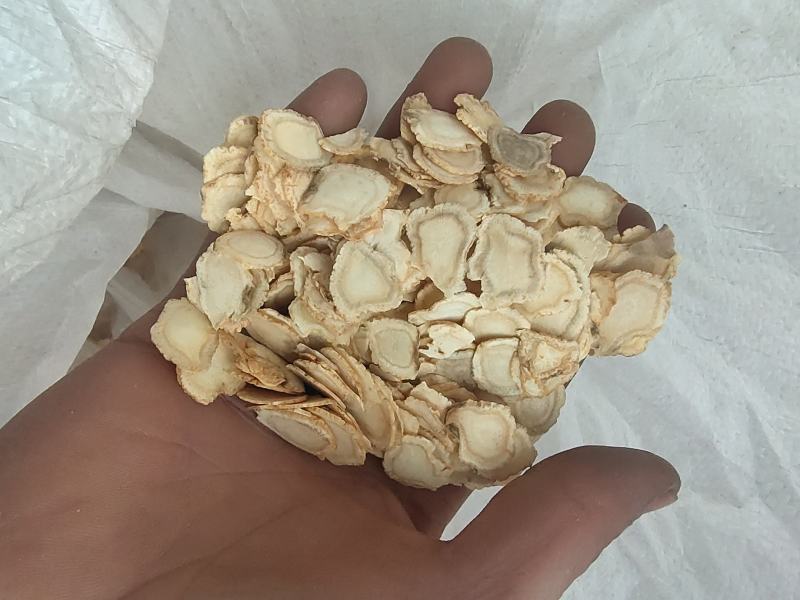 西洋参花旗参次片二级片大量现货批发一手货源产地直发价格低