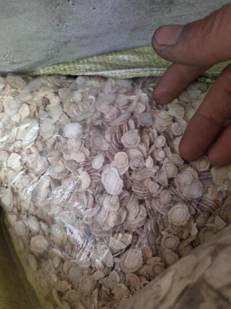 西洋参花旗参次片二级片大量现货批发一手货源产地直发价格低